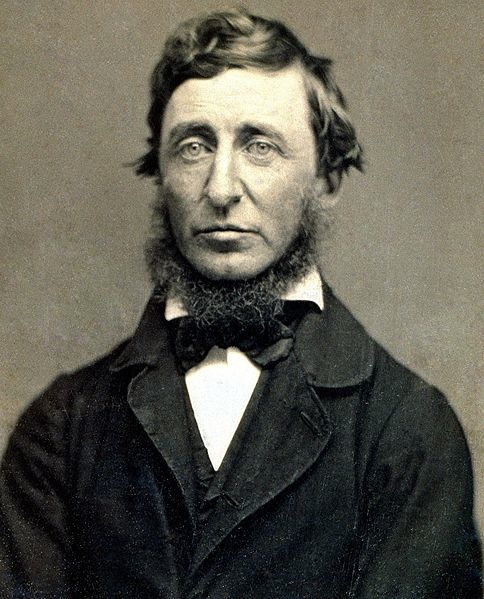 Author Picture